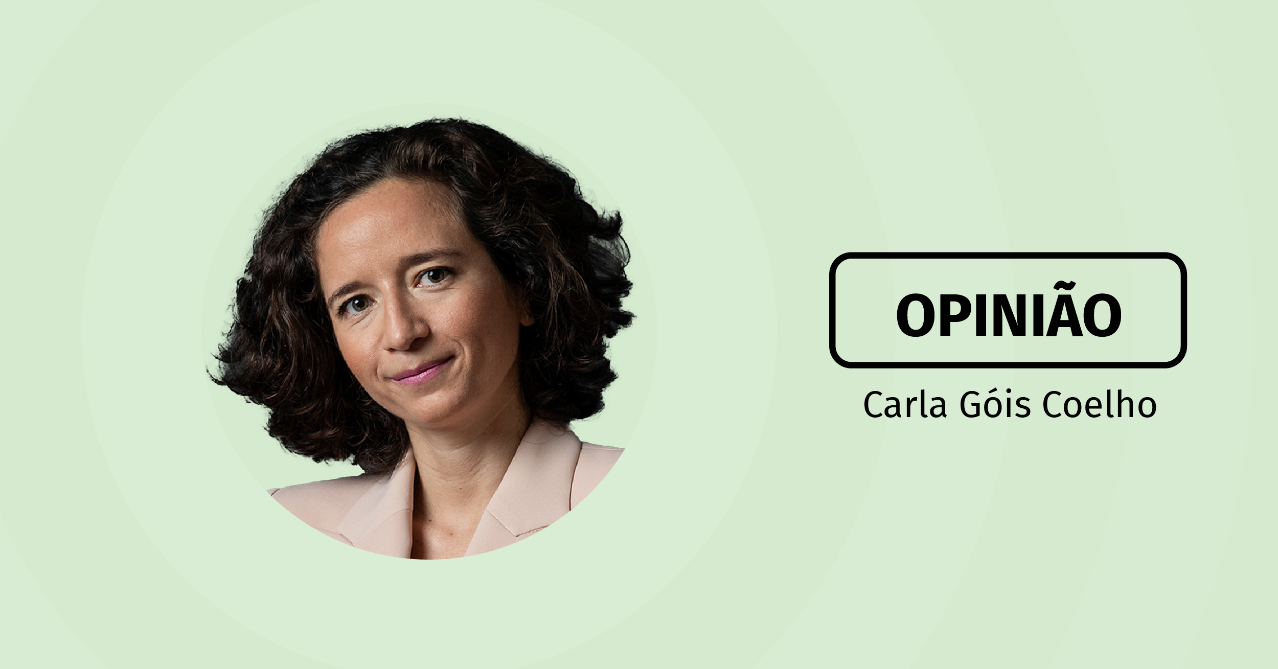 Greenwashing and the litigation risk for companies